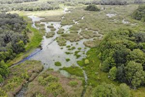 Aerial view of wetlands and forest