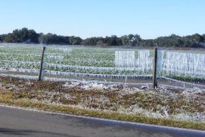 Ice hanging on farm fence