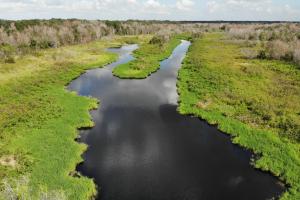 Aerial view of creek surrounded by wetlands and forest
