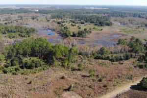 Aerial view of wetlands, open fields and wooded areas