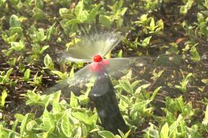Close up of in-ground lawn sprinkler