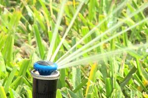 Close up of in-ground lawn sprinkler