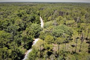 Aerial view of road through forested area