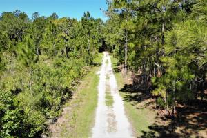 Lower Hillsborough Wilderness Preserve