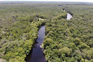 Aerial view of Potts Preserve