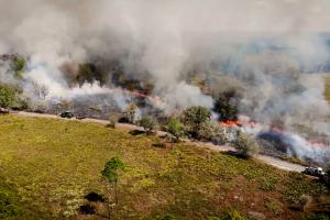 Aerial view of a prescribed burn