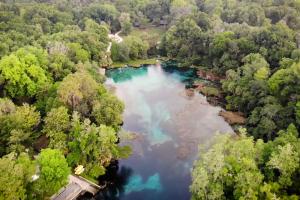 Aerial view of the Rainbow River 