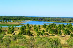 Overview of the Rock Ponds Ecosystem Restoration Project