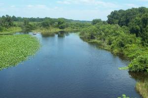 A shallow slow moving river along an open natural area