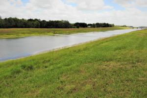 Ground level view of the Tampa Bypass Canal