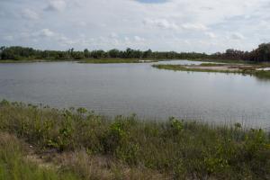 Restored wetlands at Terra Ceia 