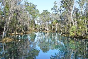Water level view of Three Sisters Springs