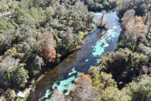 Overhead view of the Weeki Wachee River flowing though forest