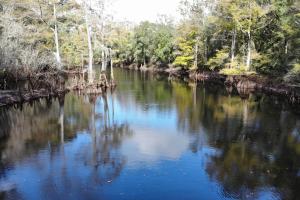 The Withlacoochee River 