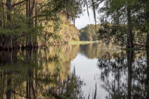 Withlacoochee River