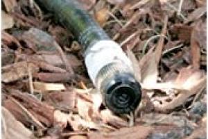bubbler tree irrigation florida basics
