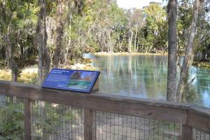 Three Sisters Springs from the boardwalk