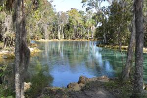 3 Sisters Spring surrounded by trees