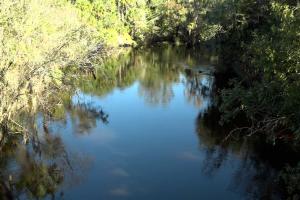 Black water aerial view