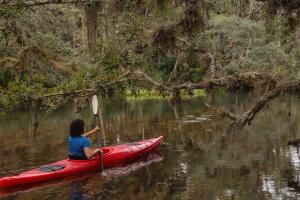 Woman kayaker on river with overhanging branches