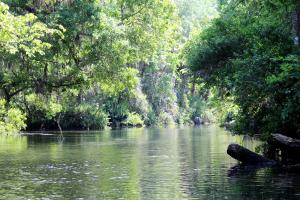 Chassahowitzka River in the afternoon