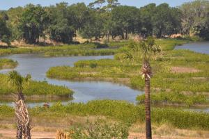 Restoration efforts on Cockroach Bay from 2012