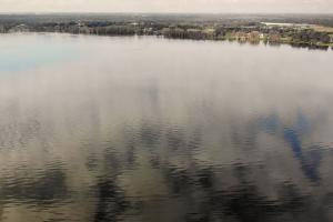 Aerial view of lake with shoreline on a cloudy day
