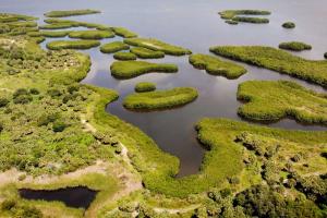 Aerial view of Tampa Bay estuary