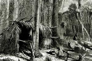 Historical engraving of cypress tree logging