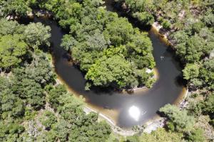 Aerial view of a river bend in forest