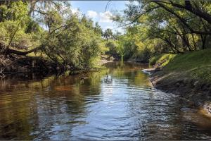 View of Horse Creek. 