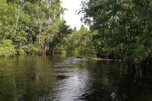 Picture of a portion of the Upper Peace River. 
