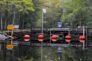 reflections on the water