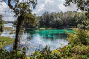 Summer view of Rainbow Springs and River