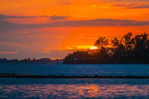 Coastal trees and beach against colorful sunset
