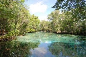 District Springs Photo