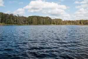 Open water with trees on the far shore