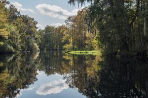 Sun splashed view of tranquil river