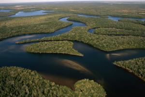 Aerial view of coastal estuaries