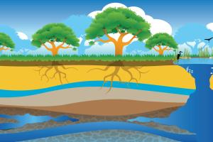 Illustration of a typical aquifer