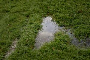 excess water on lawn