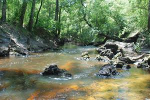 Exposed rock on the river