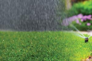sprinkler and rain on a green yard