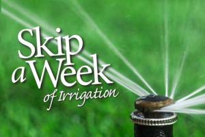 Sprinkler with Skip a Week logo