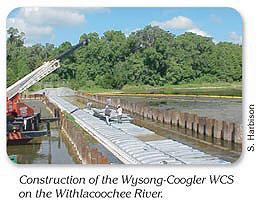 Wysong-Coogler WCS