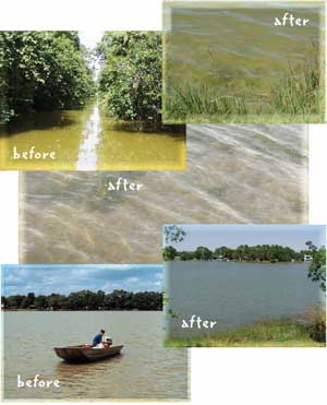 Before and after photos of Lake Persimmon