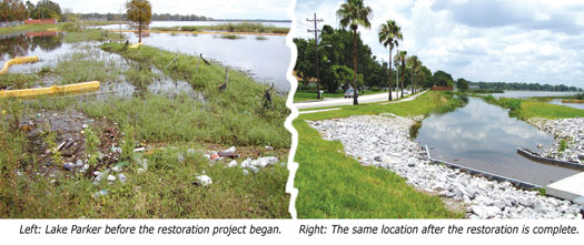 Lake Parker before and after restoration