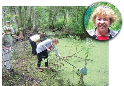 Sallie Parks collecting samples