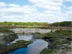 Slough restoration