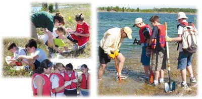 Students Studying Wetlands